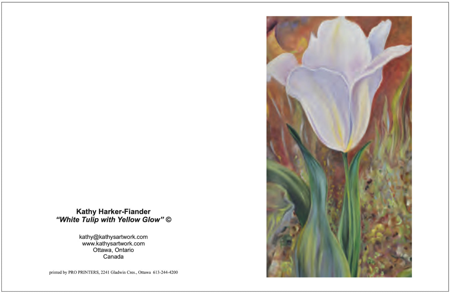 F28 White Tulip with Yellow Glow