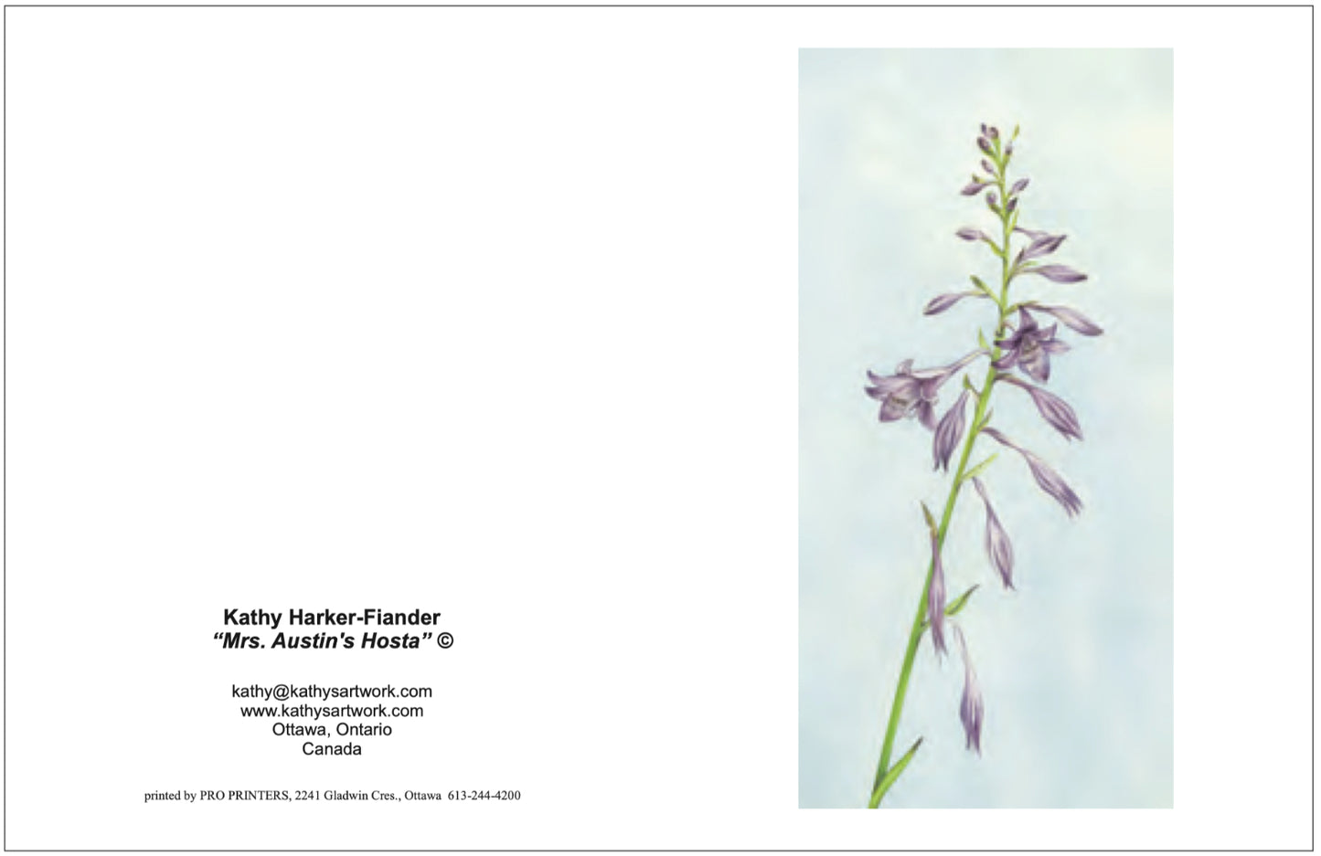 F49 Mrs. Austin's Hosta